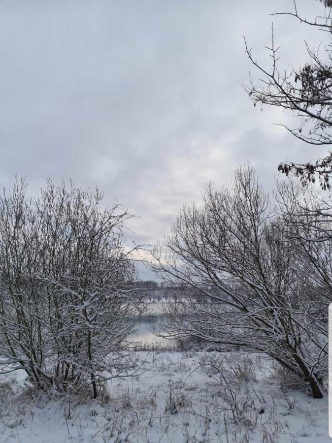 "Altes Stellwerk Frose" Am Froser See 外观 照片